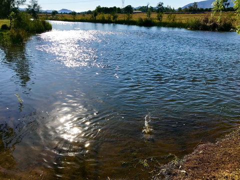 Russley Rural Retreat - Whitsundays Accommodation 4