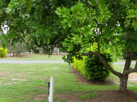 Secura Lifestyle North Gold Coast - Whitsundays Accommodation 8