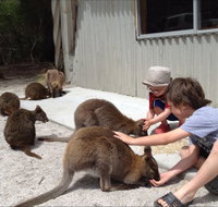 The Patriarch Wildlife Sanctuary Camping Ground - Whitsundays Accommodation