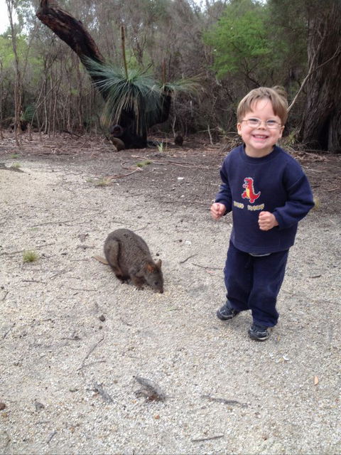 The Patriarch Wildlife Sanctuary Camping Ground - Whitsundays Accommodation 1