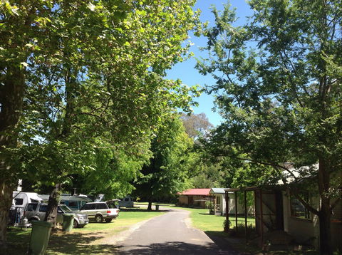 Yackandandah Holiday Park - Whitsundays Accommodation 0