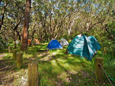 Yagon Campground - Whitsundays Accommodation 3