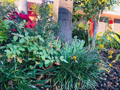 Albury Garden Court Motel - Whitsundays Accommodation 1