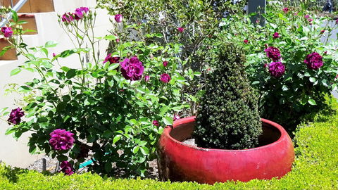 Armidale Pines Motel - Whitsundays Accommodation 0