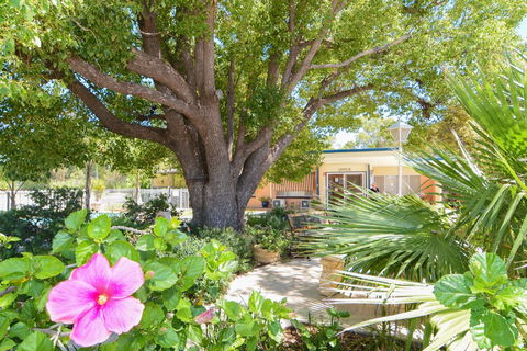 Balranald Sturt Motel - Whitsundays Accommodation 0