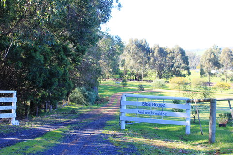 Blue House Bed And Breakfast - Whitsundays Accommodation 3