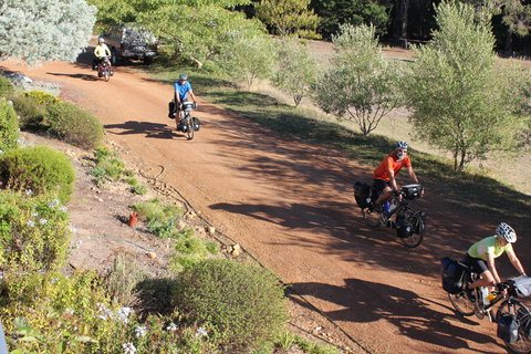 Blue House Bed And Breakfast - Whitsundays Accommodation 5