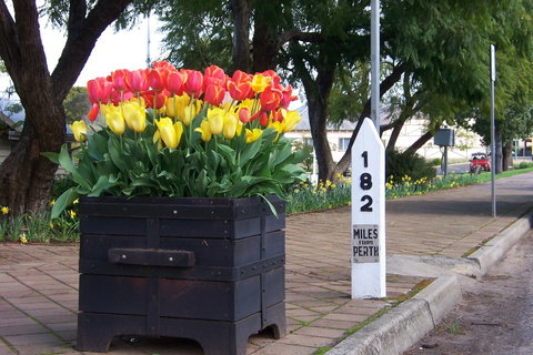 Blue House Bed And Breakfast - Whitsundays Accommodation 9