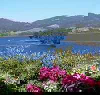 Donalea Bed  Breakfast Tasmania - Whitsundays Accommodation
