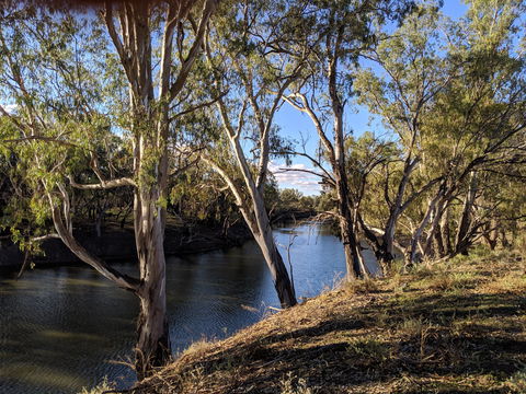 Four Mile Camping Reserve - Whitsundays Accommodation 2