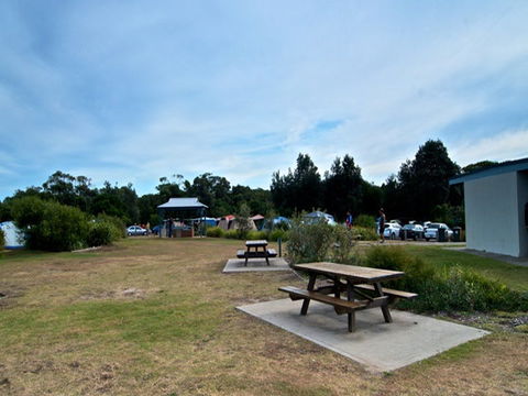Freemans Campground - Whitsundays Accommodation 2