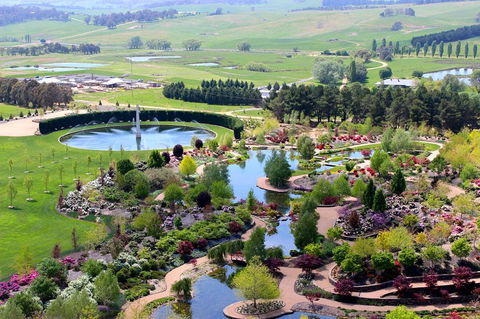 Glamping At Mayfield Garden - Whitsundays Accommodation 0