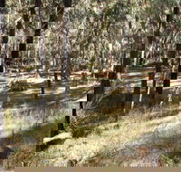 Greenbah campground - Whitsundays Accommodation