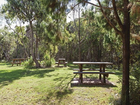 Illaroo Group Camping Area - Whitsundays Accommodation 0