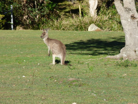 Little Bay Cottage - Whitsundays Accommodation 2