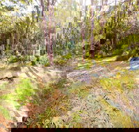 Mackaway Bay campground