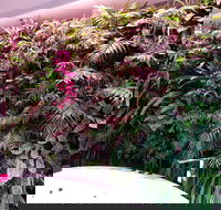 Ocean Blue B and B - Whitsundays Accommodation