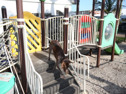 Prime Pet Friendly Tourist Park - Whitsundays Accommodation 4