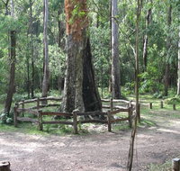 Six Mile Creek campground - Whitsundays Accommodation