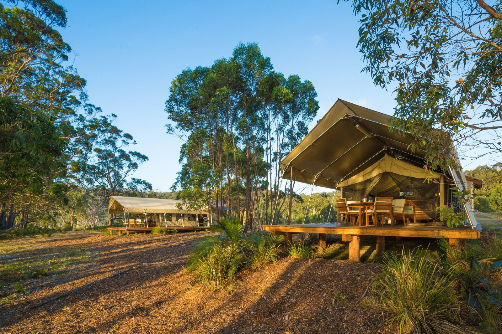 Devils Hole ACT Whitsundays Accommodation