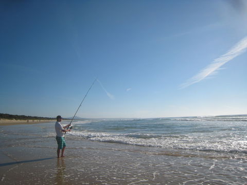 The View In Scotts Head - Whitsundays Accommodation 9