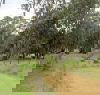 Ben Halls campground - Whitsundays Accommodation