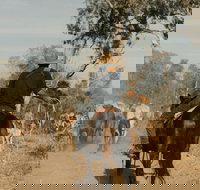 Bullo River Station - Whitsundays Accommodation