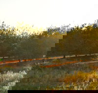 Griffith Tourist Caravan Park - Whitsundays Accommodation