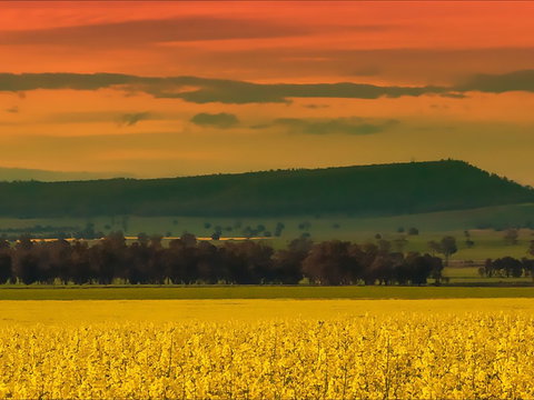 Lockhart Motel - Whitsundays Accommodation 1