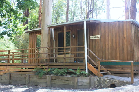 Tarra Valley Caravan Park - Whitsundays Accommodation 1