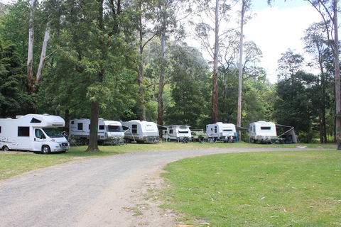 Tarra Valley Caravan Park - Whitsundays Accommodation 2
