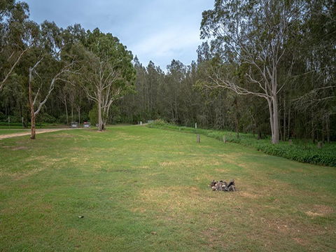 Violet Hill Campground And Picnic Area - Whitsundays Accommodation 2