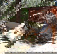 Yelverton Brook Eco Spa Retreat and Conservation Sanctuary