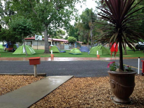 Young Caravan Tourist Park - Whitsundays Accommodation 0