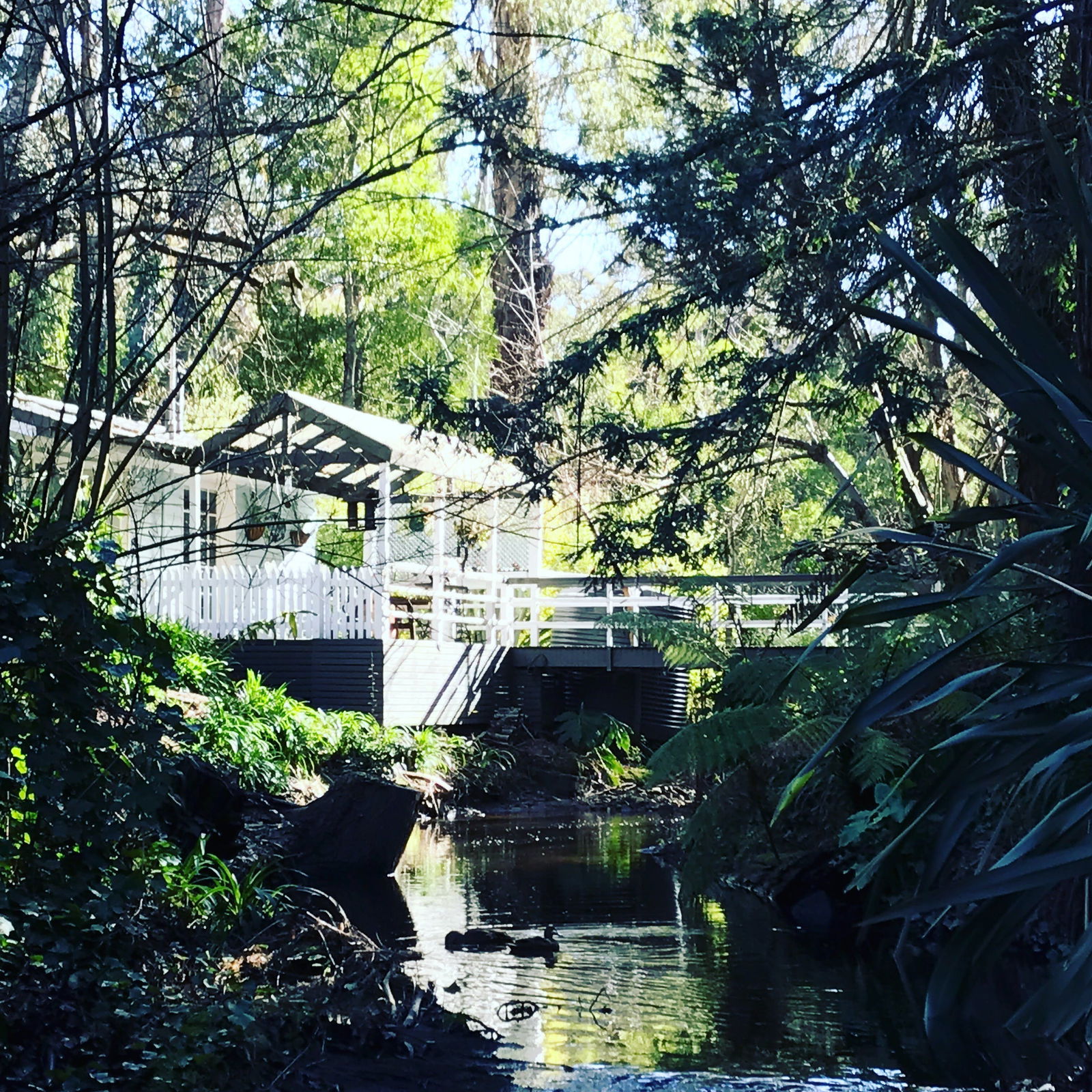  Whitsundays Accommodation