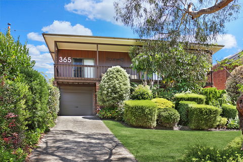 Alva Lee - Whitsundays Accommodation 0