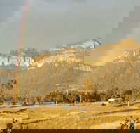 Annabilla Farm Stay - Whitsundays Accommodation