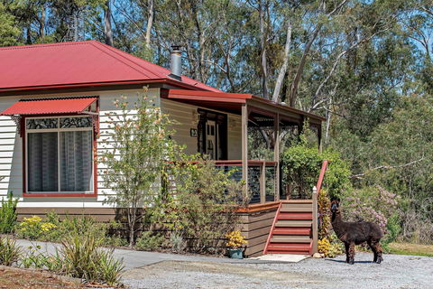 Araluen Park Cottages - Whitsundays Accommodation 0