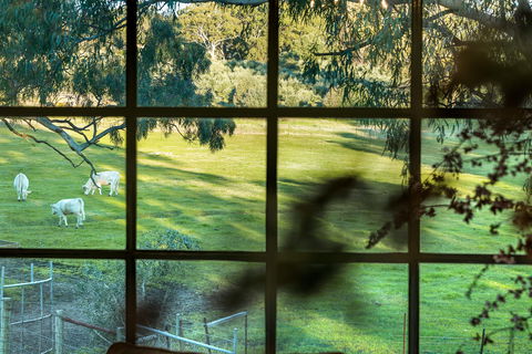 Australia Suite - Whitsundays Accommodation 1