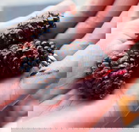 Baileys Lane - Whitsundays Accommodation