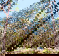 Coolah Tops National Park Camping - Whitsundays Accommodation