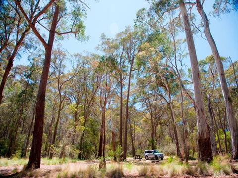 Coolah Tops National Park Camping - Whitsundays Accommodation 0