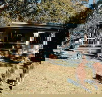 Depot Beach cabins - Whitsundays Accommodation