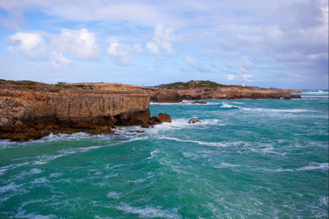 Discovery Parks - Robe - Whitsundays Accommodation 0