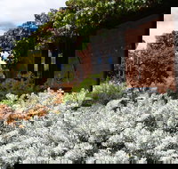 Kangaroos in the Top Paddock - Whitsundays Accommodation