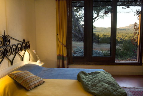 Kangaroos In The Top Paddock - Whitsundays Accommodation 1