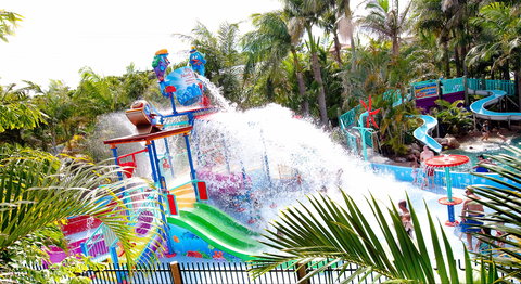 North Star Holiday Resort - Whitsundays Accommodation 1