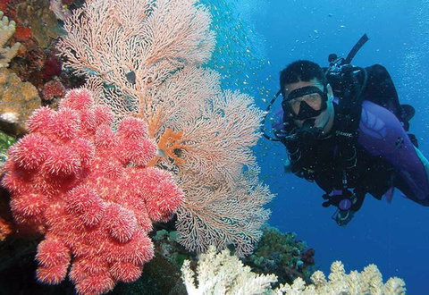 NRMA Palm Cove Holiday Park - Whitsundays Accommodation 2