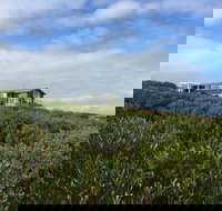 Taraki Lodge - Whitsundays Accommodation