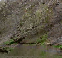 The Beach - Whitsundays Accommodation